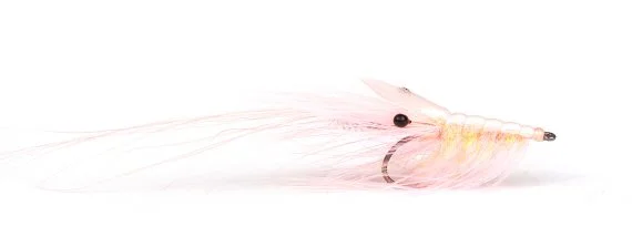sportfishtackle202606040151132586490