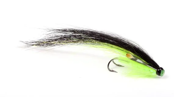 sportfishtackle202606040151322586569