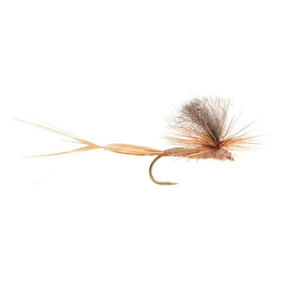 sportfishtackle202606040204572590026