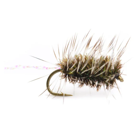 sportfishtackle202606040205012590042