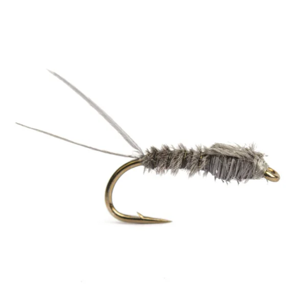 sportfishtackle202606040205162590111