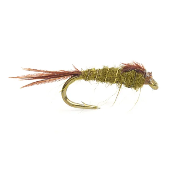 sportfishtackle202606040205202590122