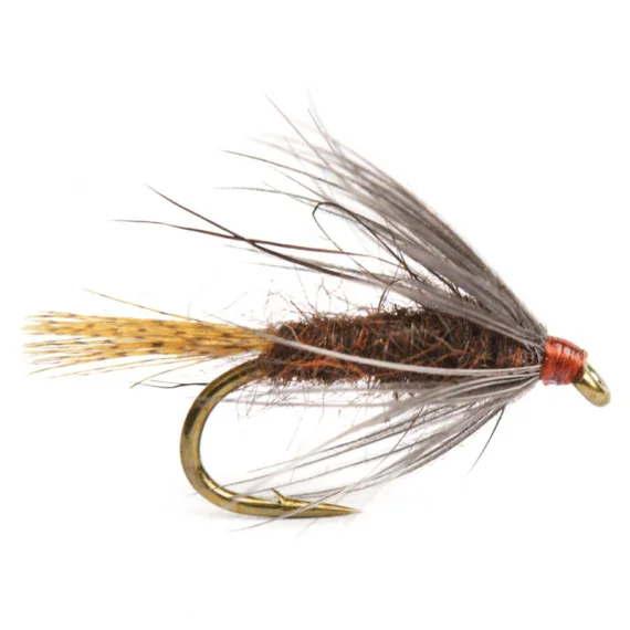 sportfishtackle202606040205242590140
