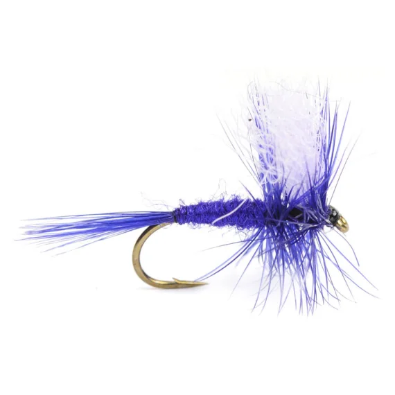 sportfishtackle202606040206002590301