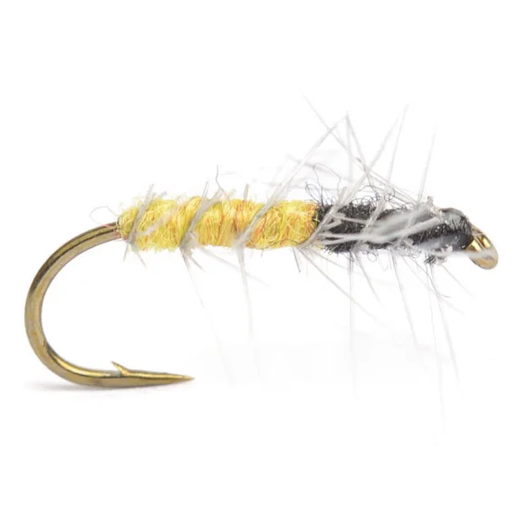 sportfishtackle202606040206192590379