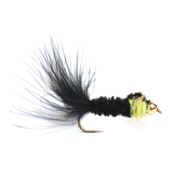 sportfishtackle202606040206452590494