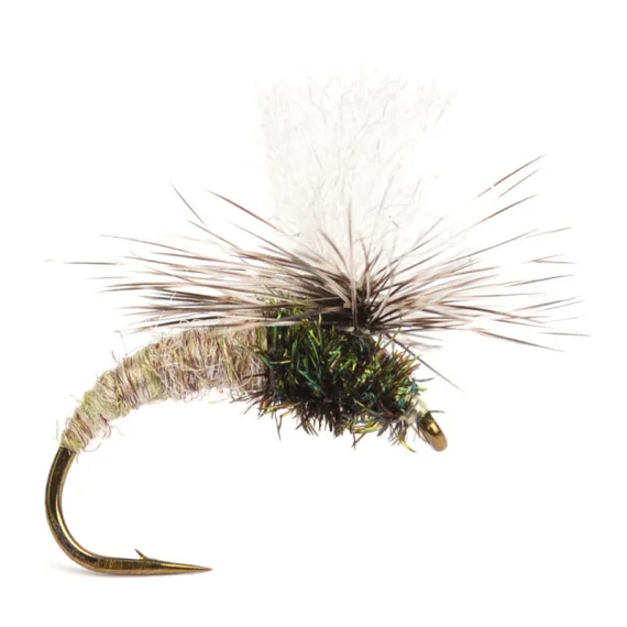 sportfishtackle202606040206592590551
