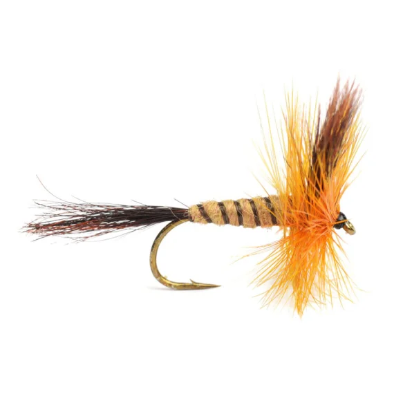 sportfishtackle202606040207122590604