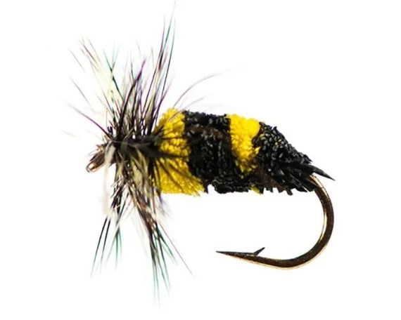 sportfishtackle202606040208032590816