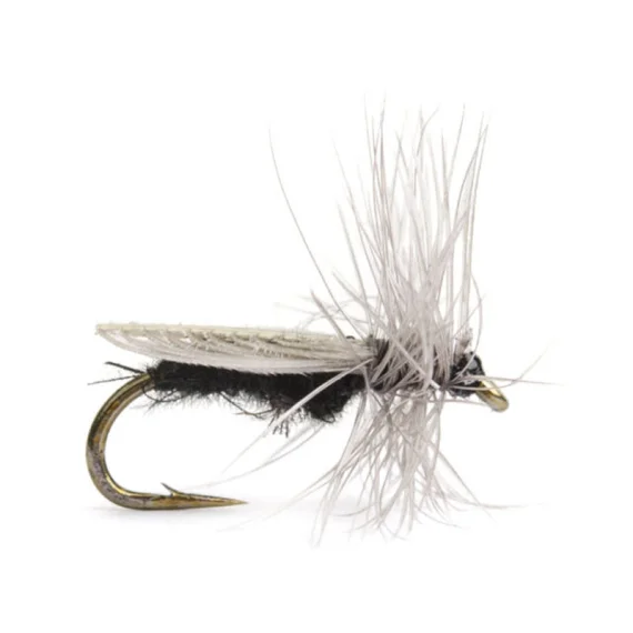 sportfishtackle202606040208062590828
