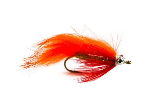 sportfishtackle202606040208452590994