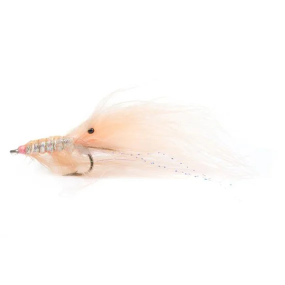 sportfishtackle202606040209032591071