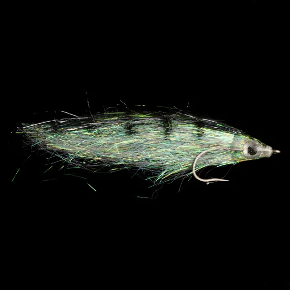 sportfishtackle202606040209322591200