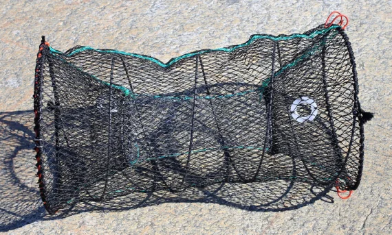 sportfishtackle202606040234352597562