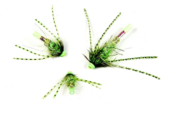 sportfishtackle202606040237582598419