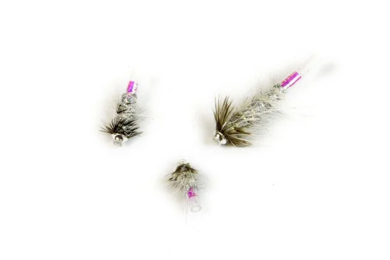 sportfishtackle202606040238072598451