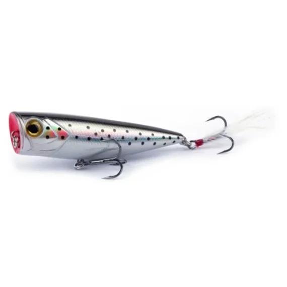 sportfishtackle202606040243412599921