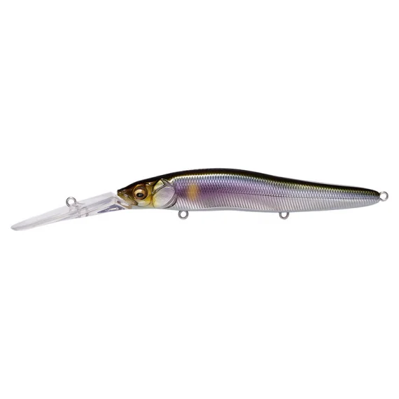 sportfishtackle202606040252502602303
