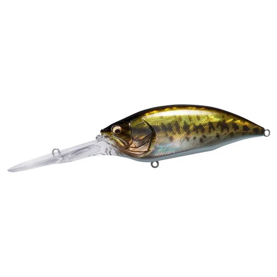 sportfishtackle202606040252582602337