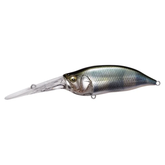 sportfishtackle202606040253452602532