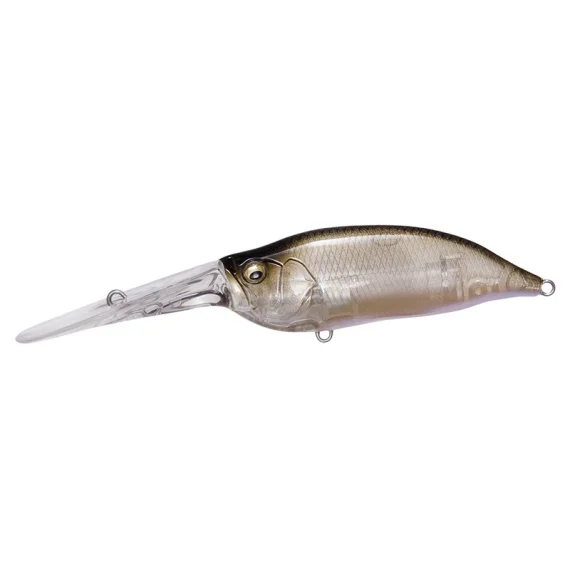 sportfishtackle202606040253512602559
