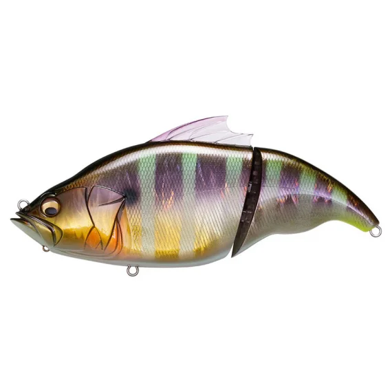 sportfishtackle202606040255002602824