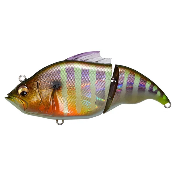 sportfishtackle202606040255042602834