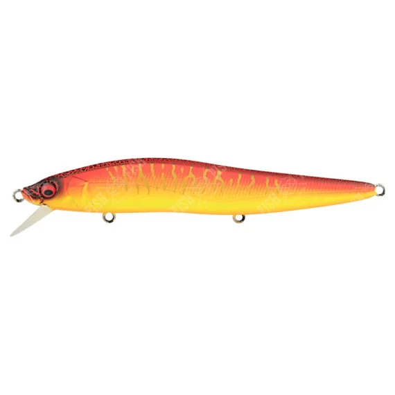 sportfishtackle202606040255122602855