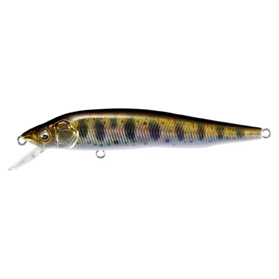 sportfishtackle202606040256172603049