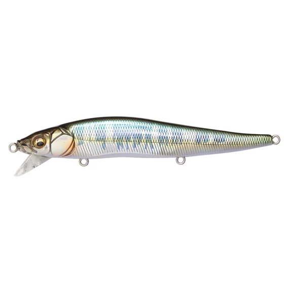 sportfishtackle202606040256262603074