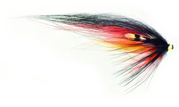 sportfishtackle202606040301552604029