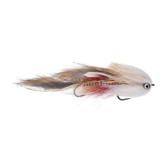 sportfishtackle202606040314562606361