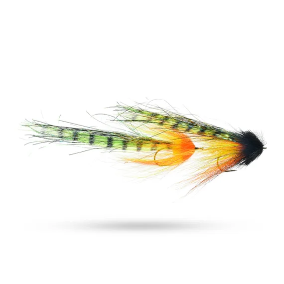 sportfishtackle202606040316362606655