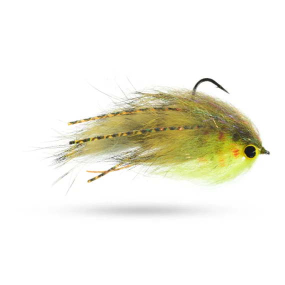 sportfishtackle202606040316472606686