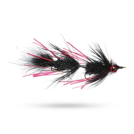 sportfishtackle202606040316492606690