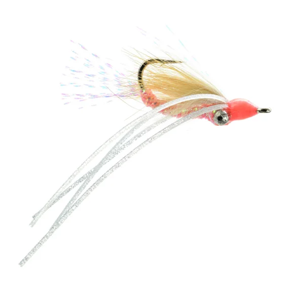 sportfishtackle202606040317172606769