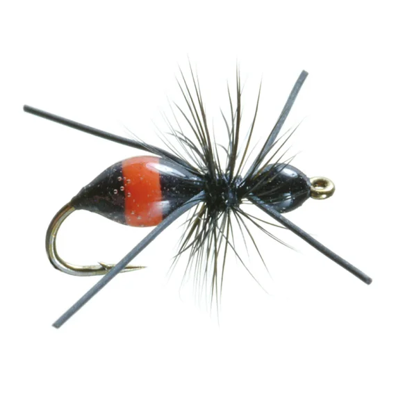 sportfishtackle202606040321572607574