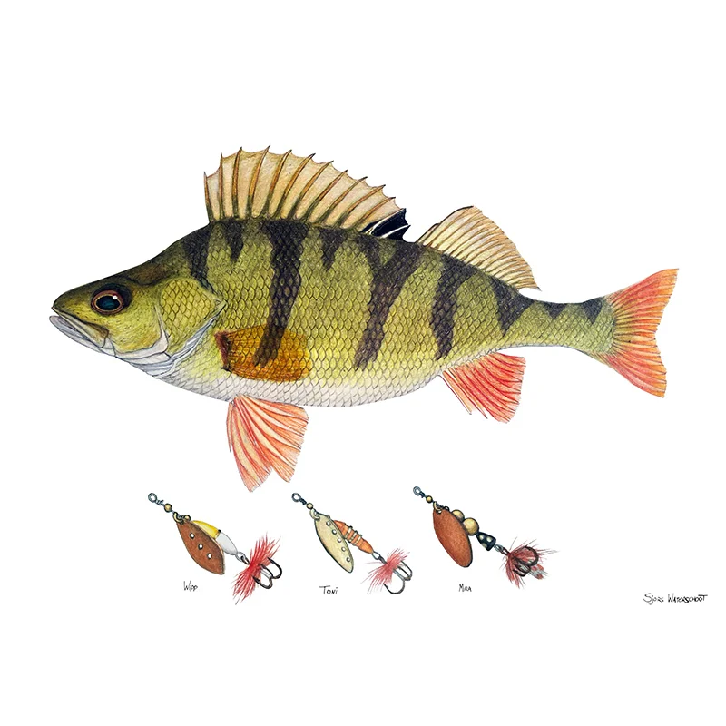 sportfishtackle202606040323322607852