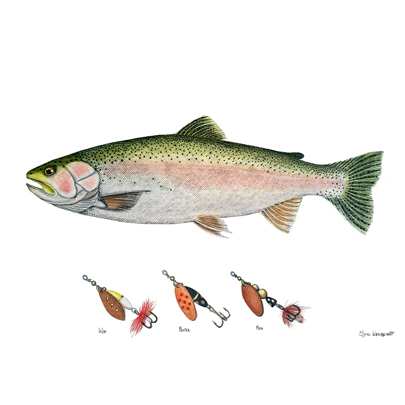 sportfishtackle202606040323362607865