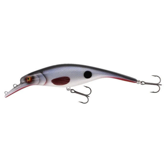 sportfishtackle202606040333482609622