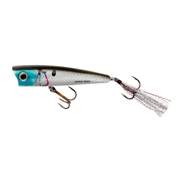 sportfishtackle202606040338332610348
