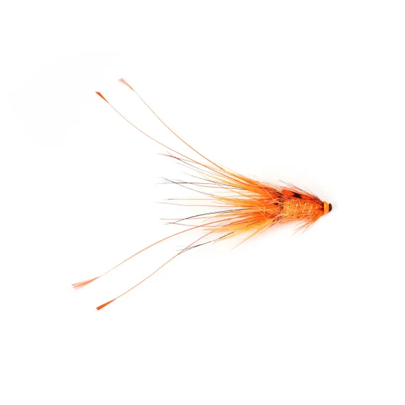 sportfishtackle202606040351252612429