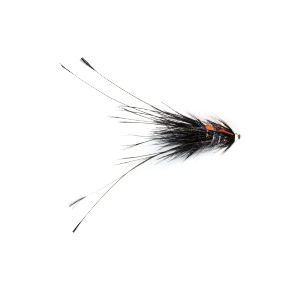 sportfishtackle202606040351332612449