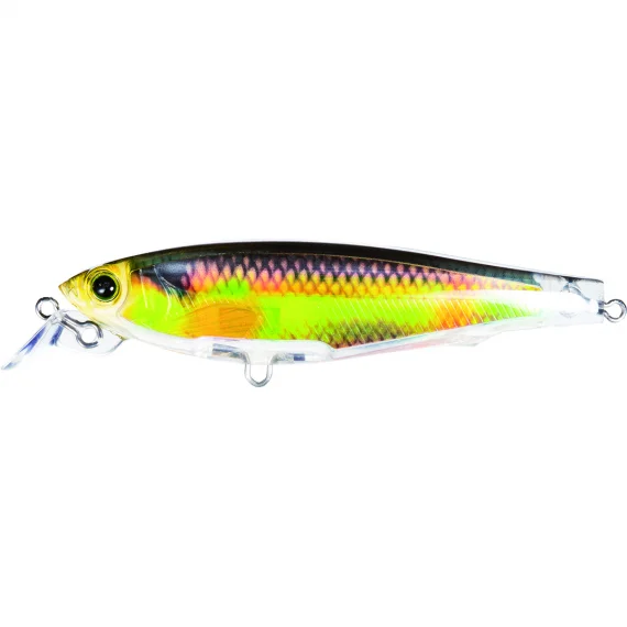sportfishtackle202606040353352612773
