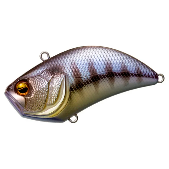 sportfishtackle202606040357152613363