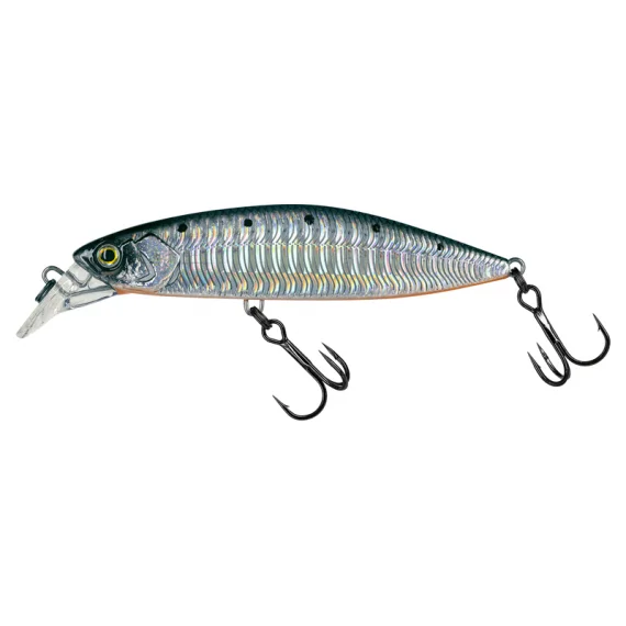 sportfishtackle202606040401282614058