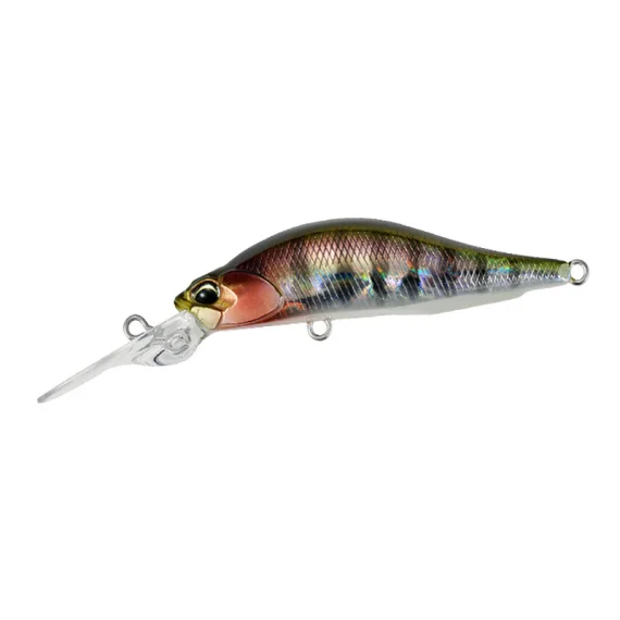 sportfishtackle202606040408472615253