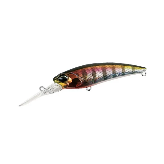 sportfishtackle202606040408492615256