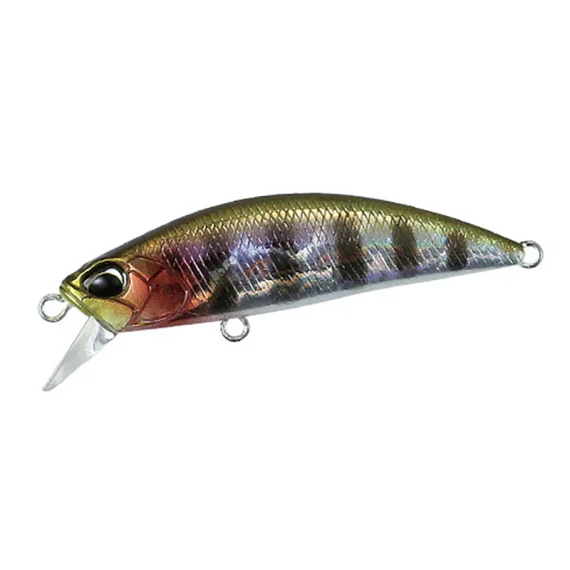 sportfishtackle202606040427382618311
