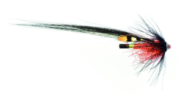 sportfishtackle202606040429222618589